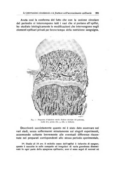 La chirurgia degli organi di movimento