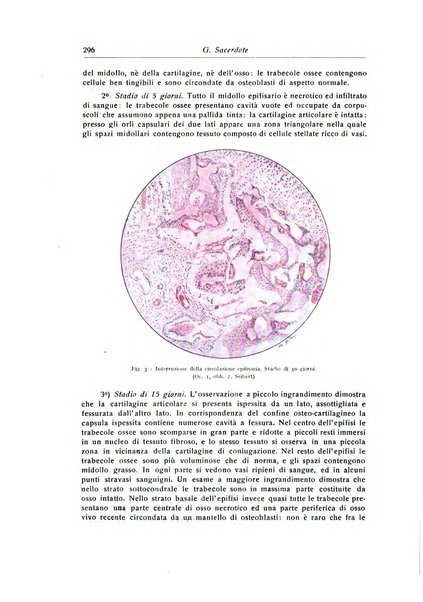 La chirurgia degli organi di movimento