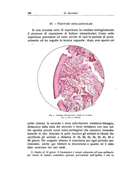 La chirurgia degli organi di movimento