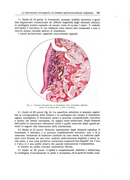 La chirurgia degli organi di movimento