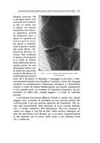 giornale/RML0015994/1931/unico/00000331