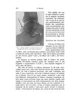 giornale/RML0015994/1931/unico/00000392