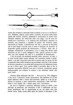 giornale/RML0015994/1931/unico/00000415