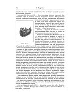 giornale/RML0015994/1931/unico/00000438