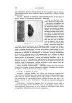 giornale/RML0015994/1931/unico/00000440