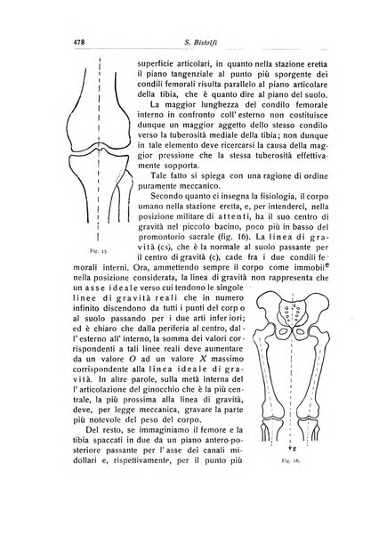 La chirurgia degli organi di movimento