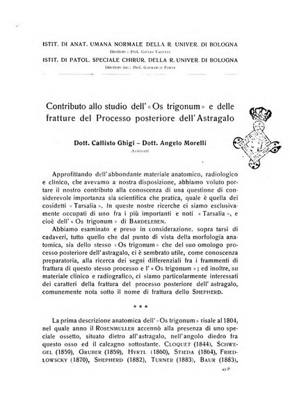 La chirurgia degli organi di movimento