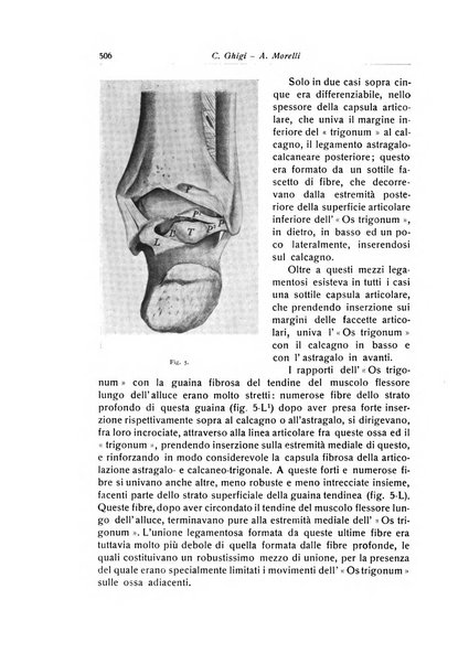 La chirurgia degli organi di movimento