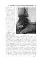 giornale/RML0015994/1931/unico/00000541