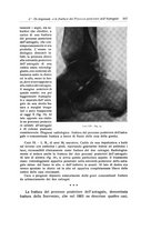 giornale/RML0015994/1931/unico/00000543