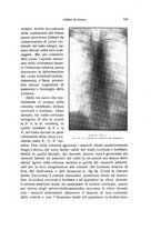 giornale/RML0015994/1931/unico/00000565