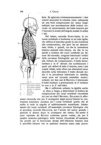 La chirurgia degli organi di movimento