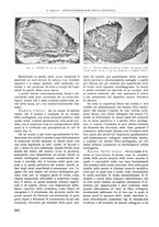 giornale/RML0015994/1932/unico/00000280
