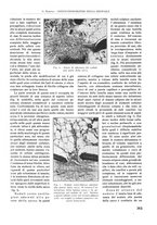 giornale/RML0015994/1932/unico/00000281