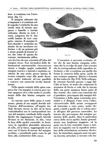 La chirurgia degli organi di movimento