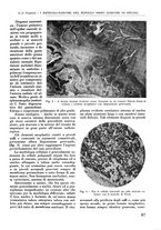 giornale/RML0015994/1934-1935/unico/00000097