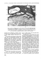 giornale/RML0015994/1934-1935/unico/00000120