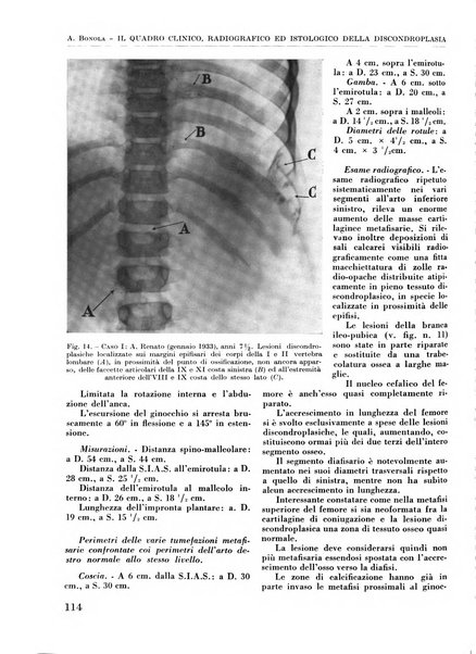 La chirurgia degli organi di movimento