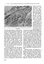 giornale/RML0015994/1934-1935/unico/00000226