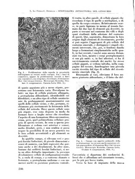 La chirurgia degli organi di movimento