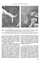 giornale/RML0015994/1934/unico/00000095