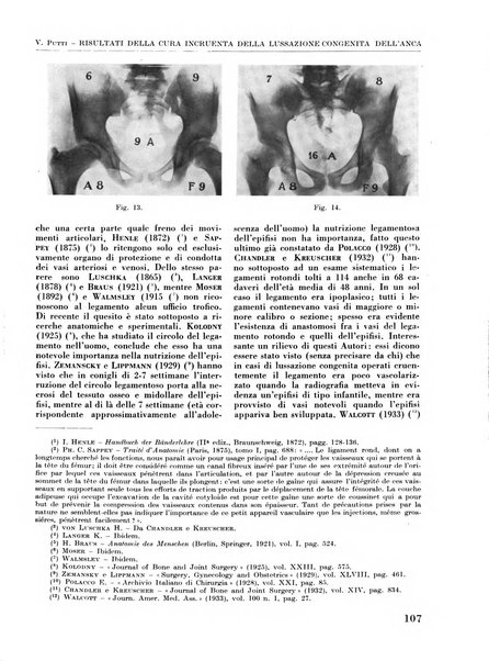 La chirurgia degli organi di movimento