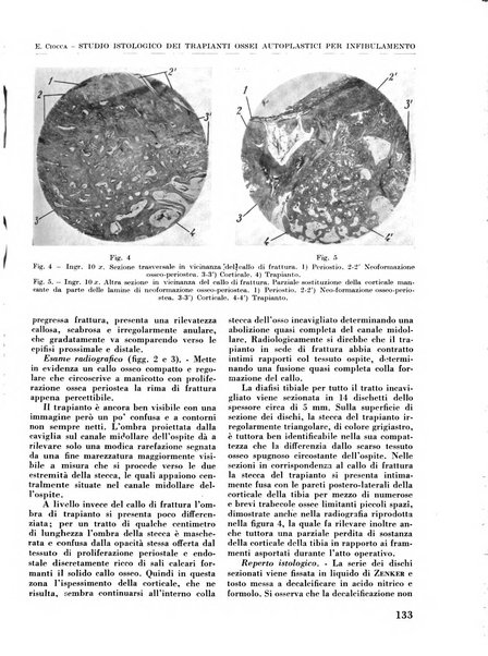 La chirurgia degli organi di movimento