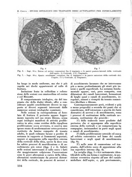 La chirurgia degli organi di movimento