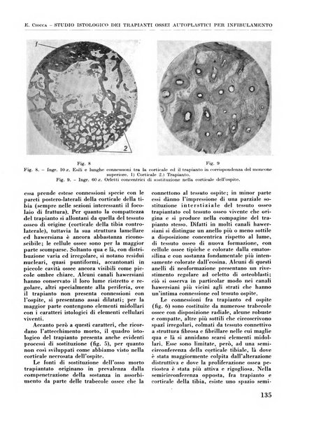 La chirurgia degli organi di movimento