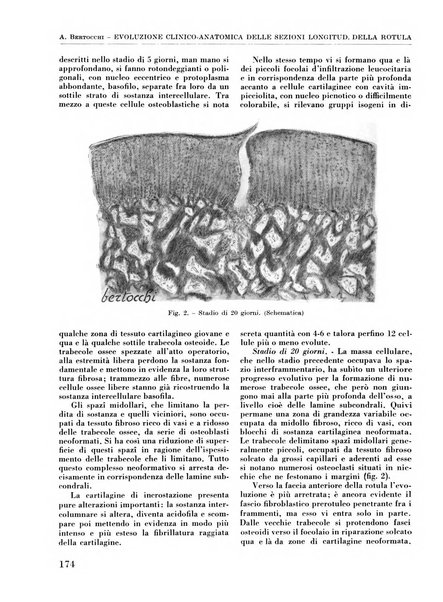 La chirurgia degli organi di movimento