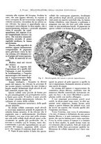 giornale/RML0015994/1934/unico/00000211