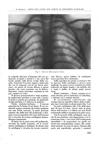 La chirurgia degli organi di movimento