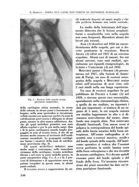 La chirurgia degli organi di movimento