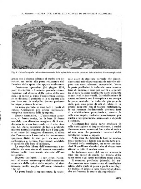 La chirurgia degli organi di movimento