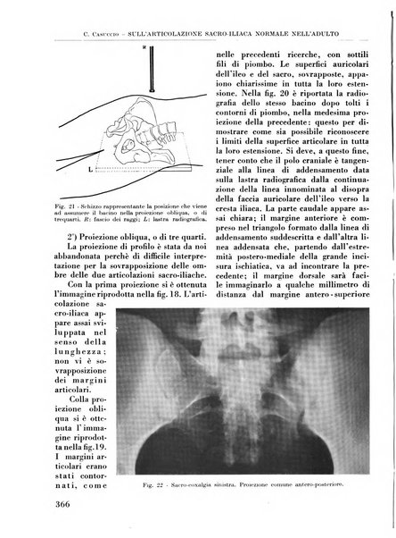 La chirurgia degli organi di movimento