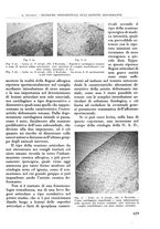 giornale/RML0015994/1934/unico/00000445