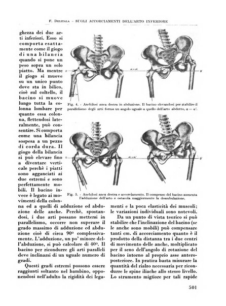 La chirurgia degli organi di movimento