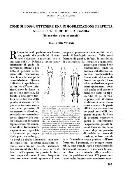 La chirurgia degli organi di movimento