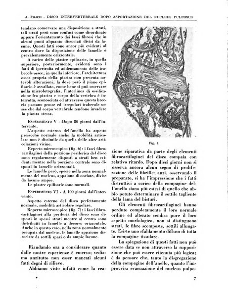 La chirurgia degli organi di movimento