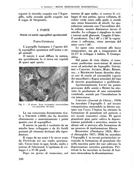 La chirurgia degli organi di movimento