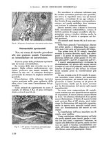 giornale/RML0015994/1935-1936/unico/00000124