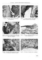 giornale/RML0015994/1935-1936/unico/00000133