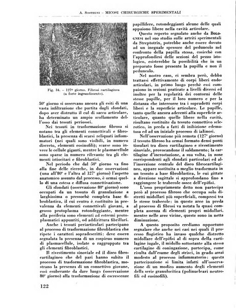 La chirurgia degli organi di movimento