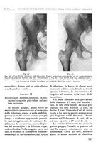 giornale/RML0015994/1935-1936/unico/00000181