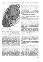giornale/RML0015994/1935-1936/unico/00000215