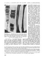 giornale/RML0015994/1935-1936/unico/00000226
