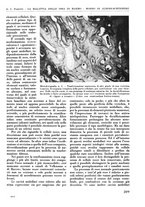 giornale/RML0015994/1935-1936/unico/00000227