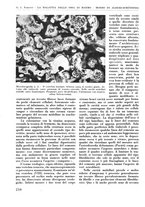 giornale/RML0015994/1935-1936/unico/00000228