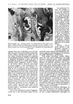 giornale/RML0015994/1935-1936/unico/00000232