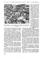 giornale/RML0015994/1935-1936/unico/00000234